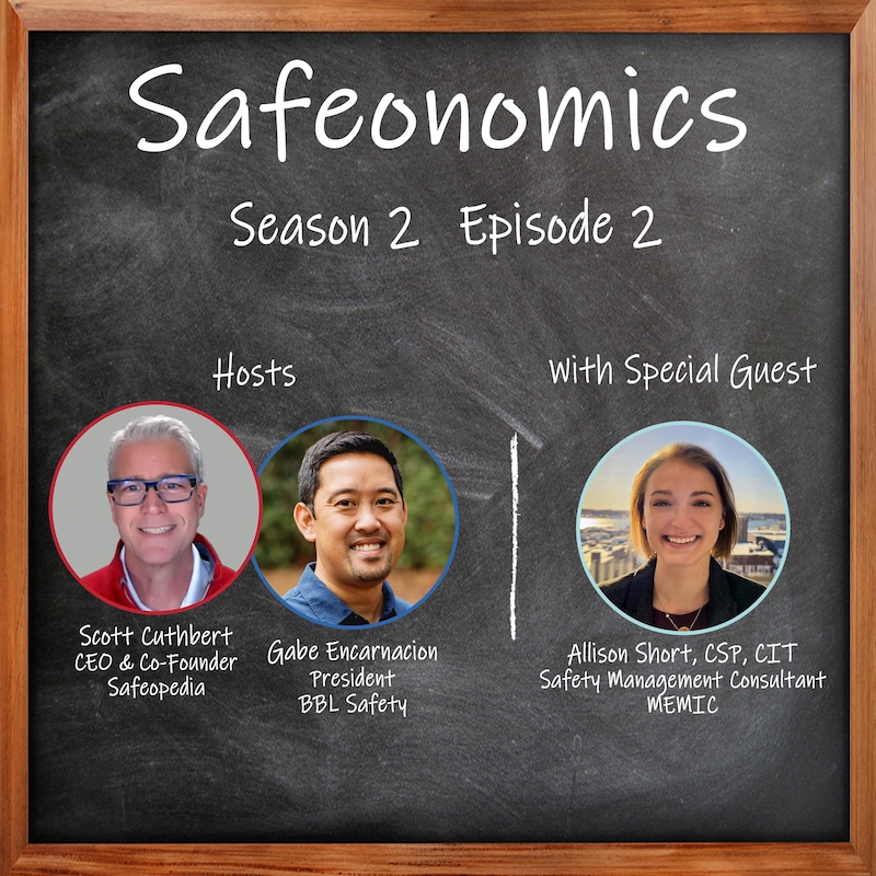 Artwork for podcast Safeopedia Podcasts