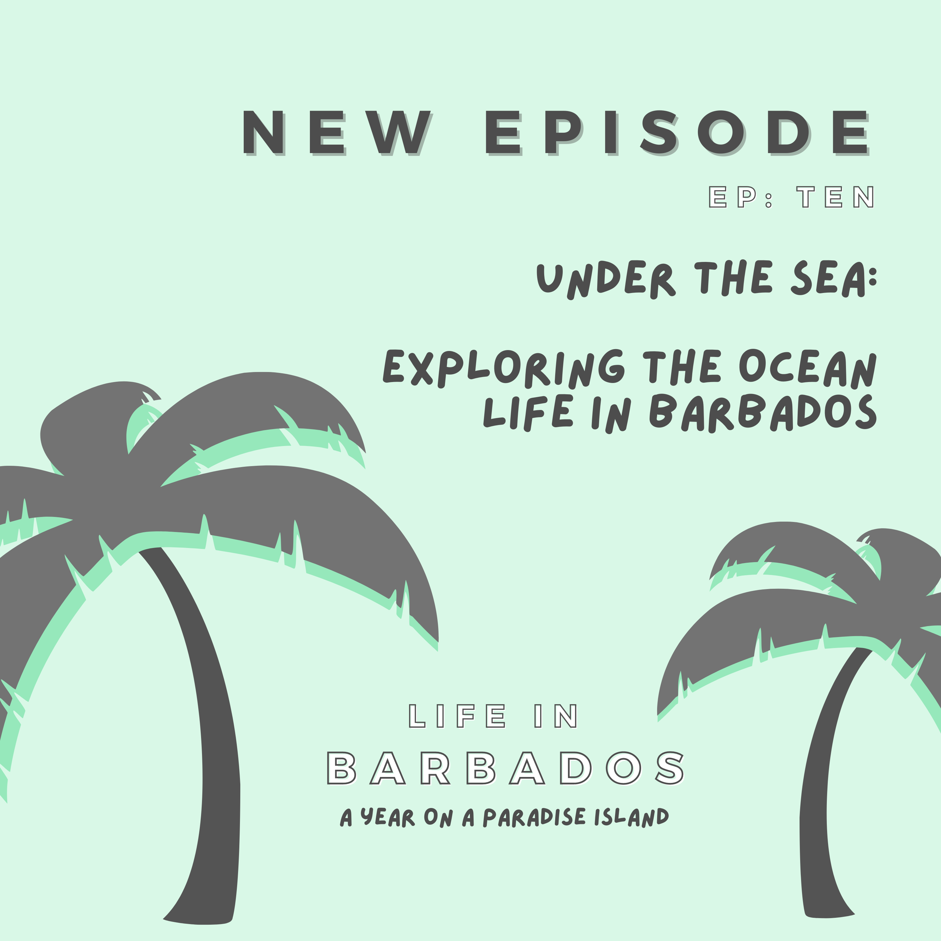 Life in Barbados: A Year On A Paradise Island (Otherworld Travel)