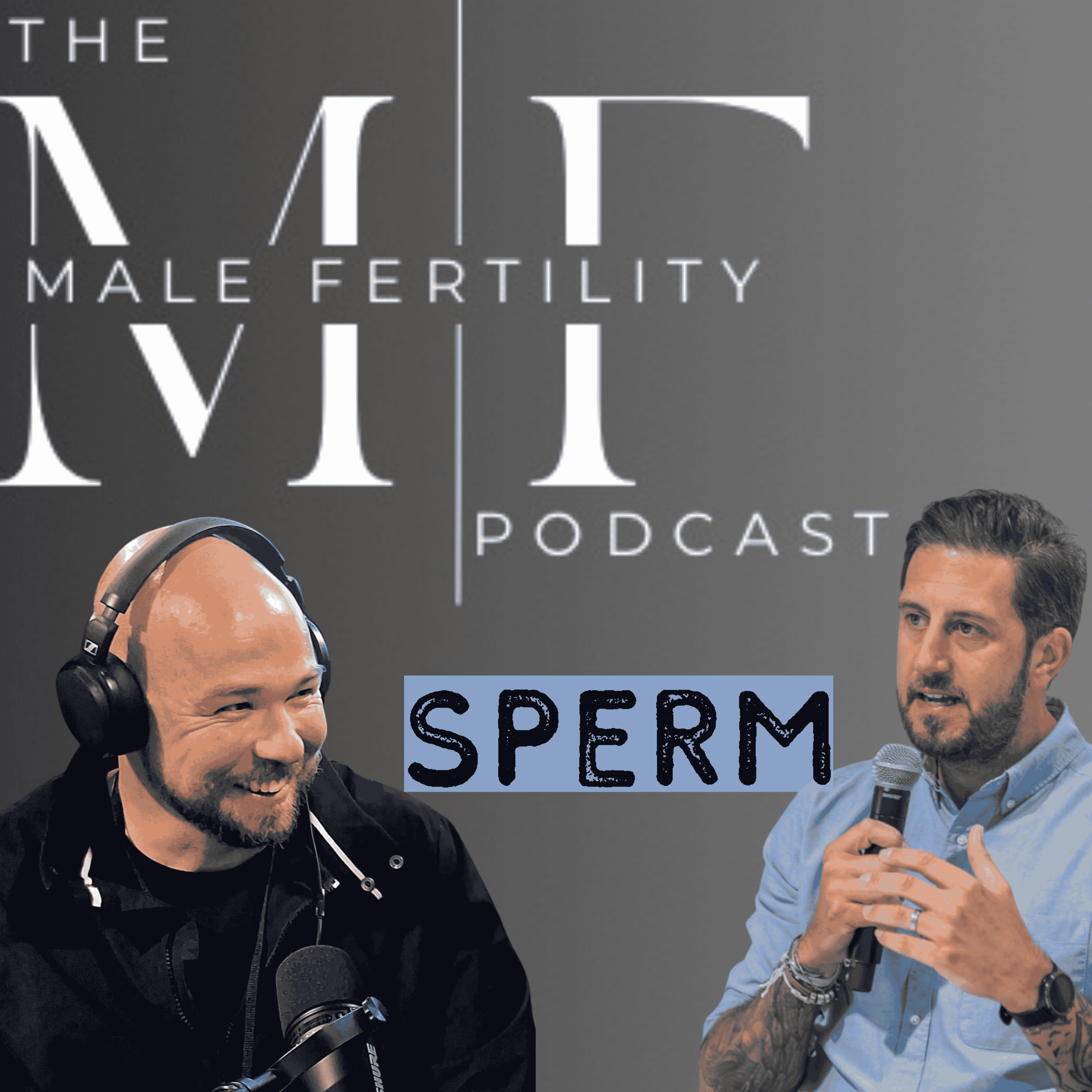 Male Fertility & Sperm Diagnosis | Christmas Countdown 🎄 Day 16 episode artwork
