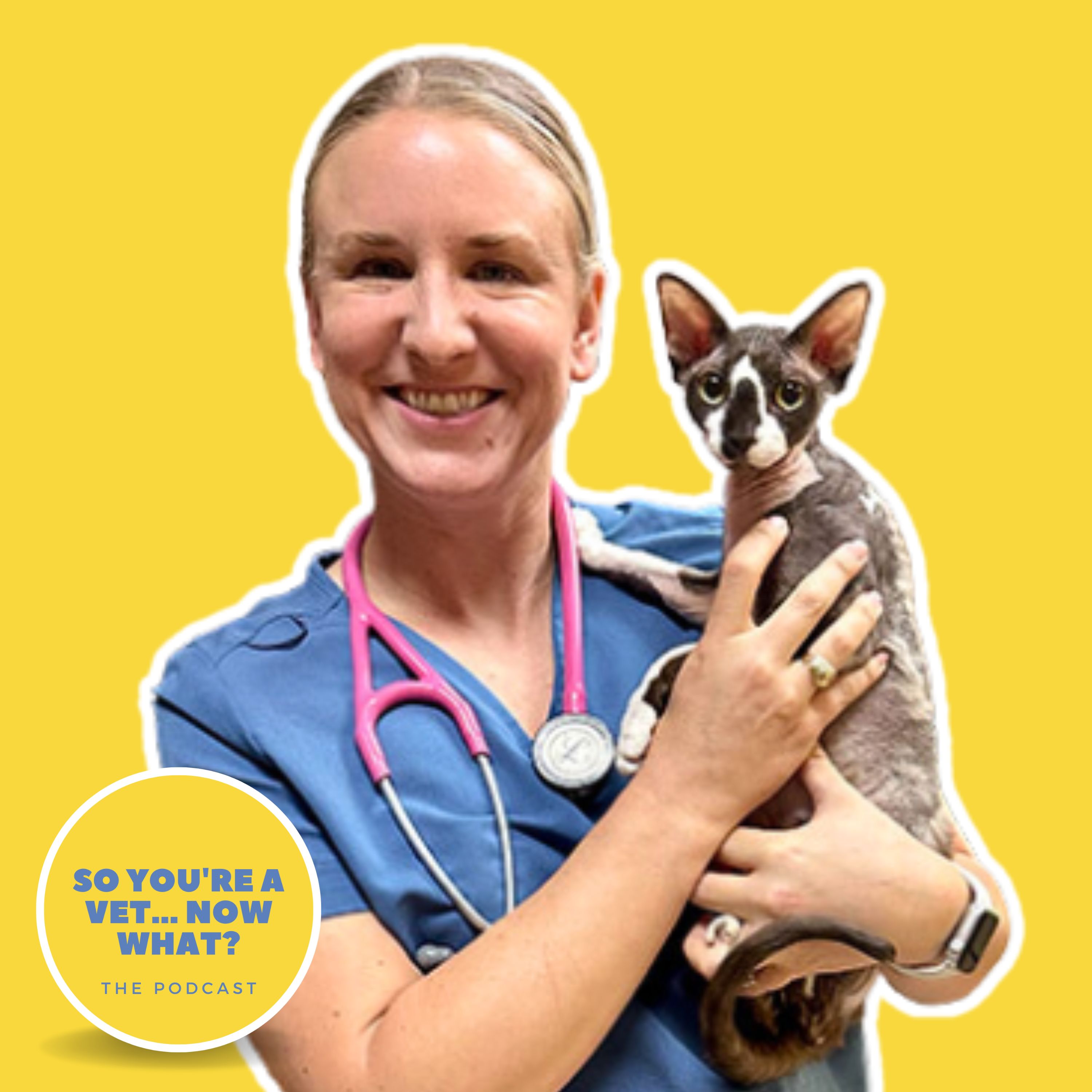 The \'So You\'re A Vet... Now What?\' Podcast