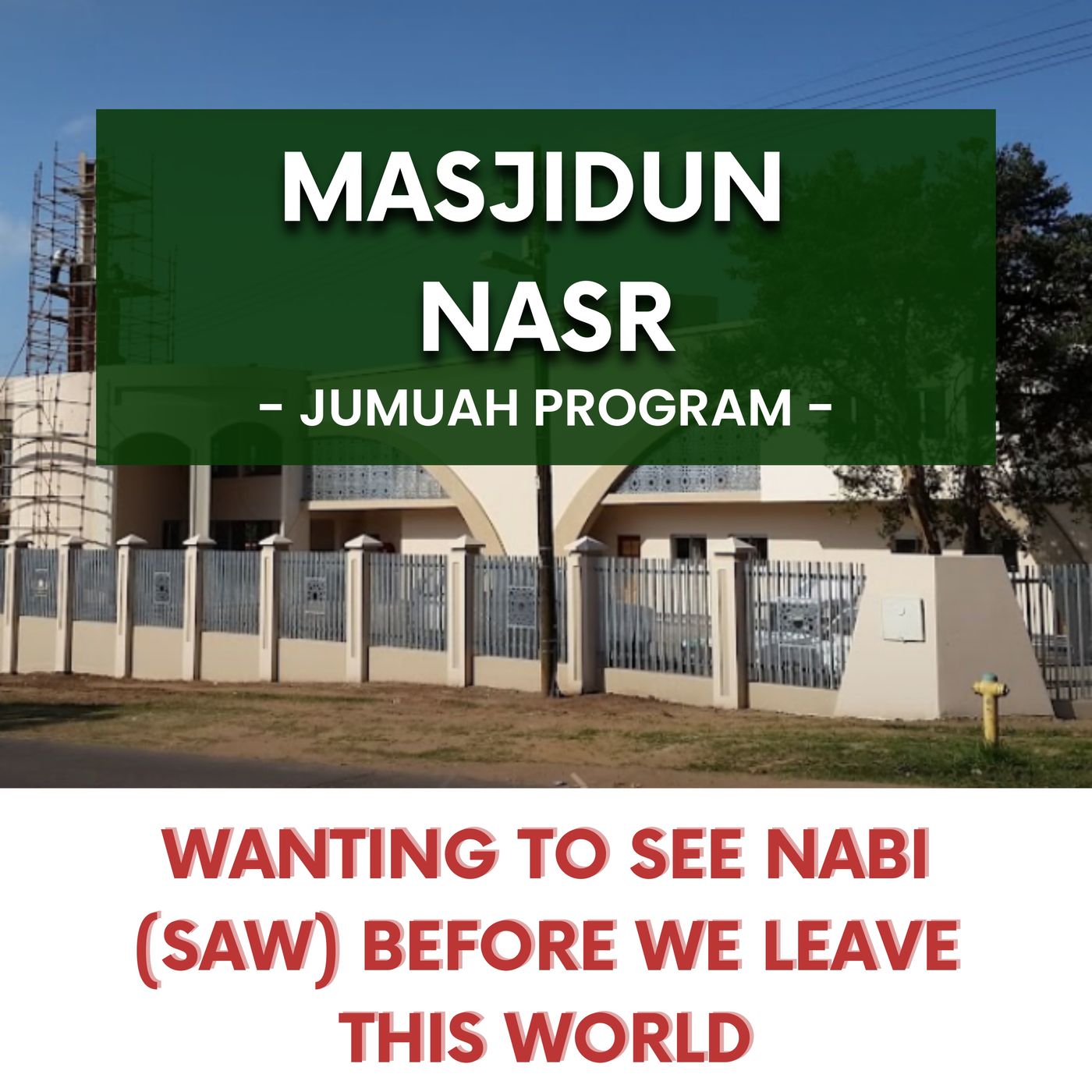 231027_Wanting to see Nabi (SAW) before we leave this world