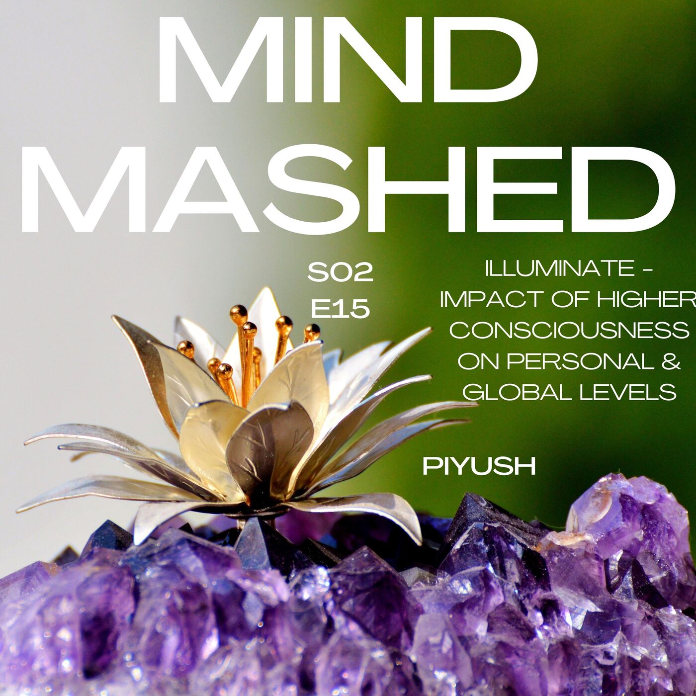 Mind Mashed - A Transformative Mindfulness & 5D Spirituality Podcast