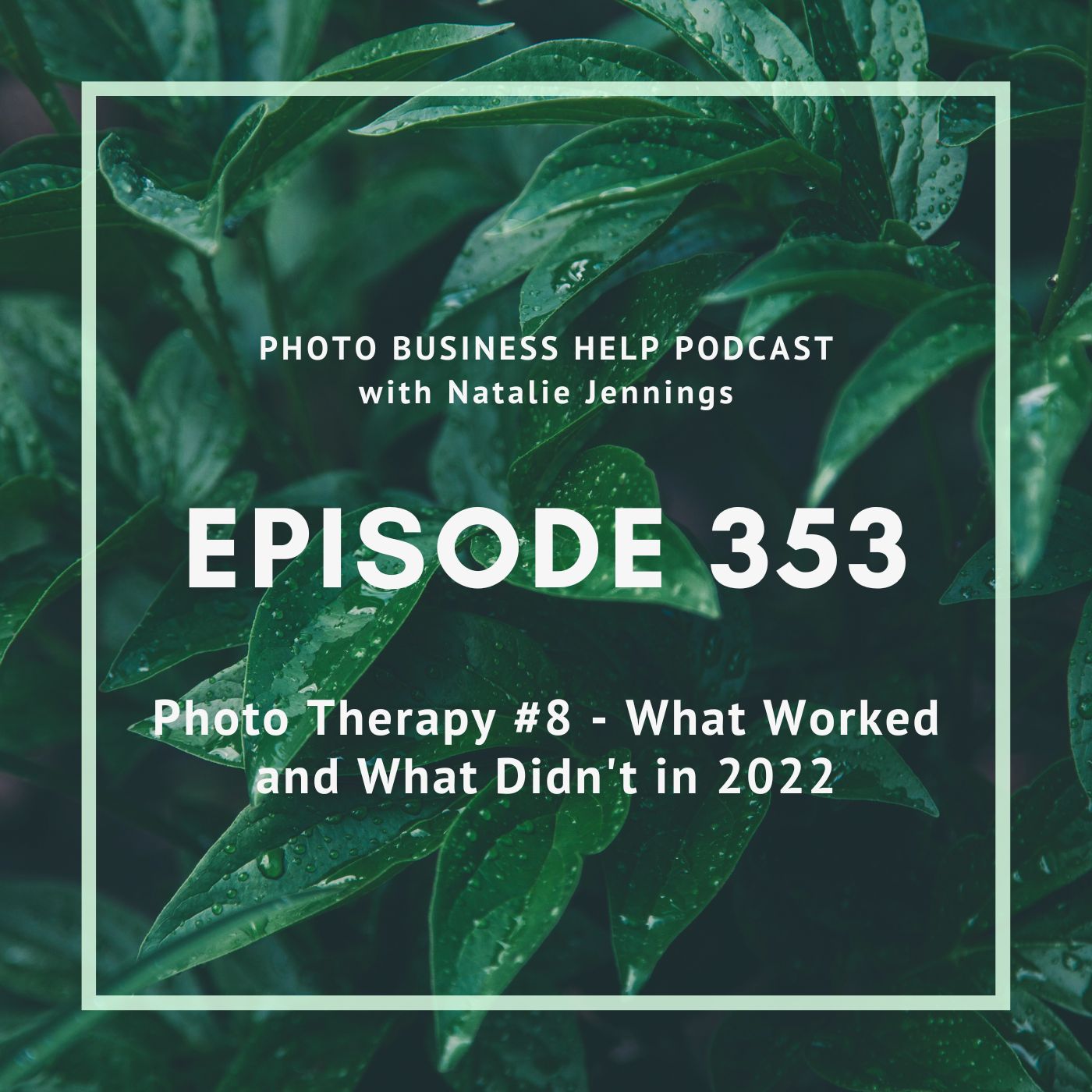 353 Photo Therapy #8 - What Worked and What Didn't in 2022