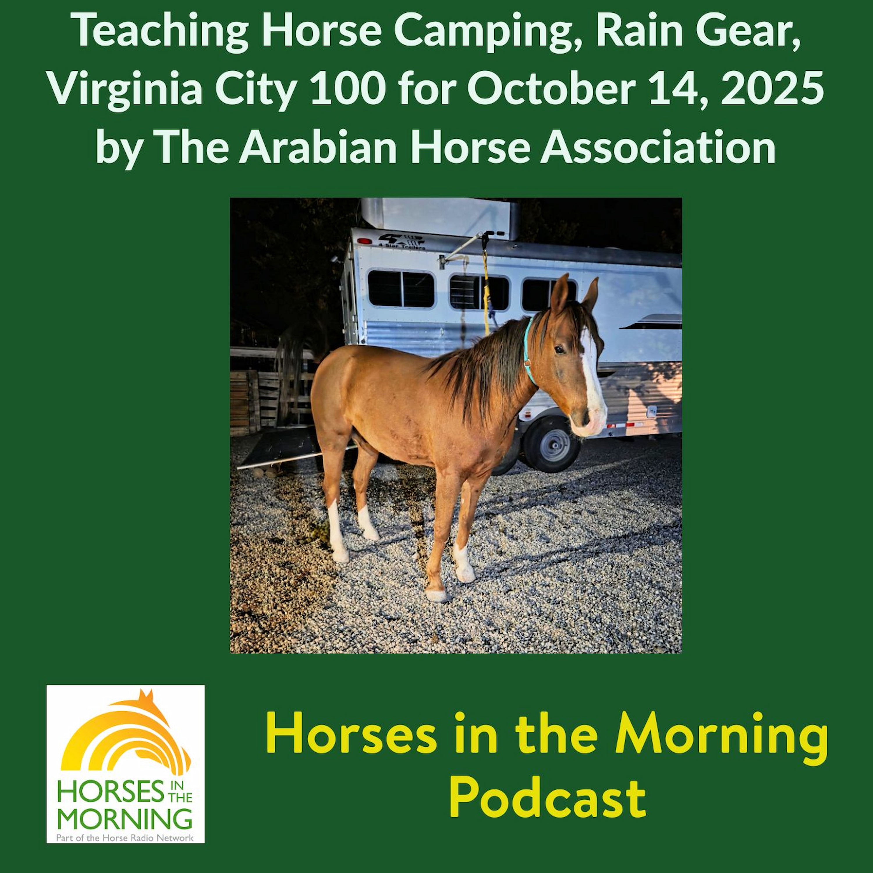 Teaching Horse Camping, Rain Gear, Virginia 100 for October 14, 2025 by The Arabian Horse Association - HORSES IN THE MORNING