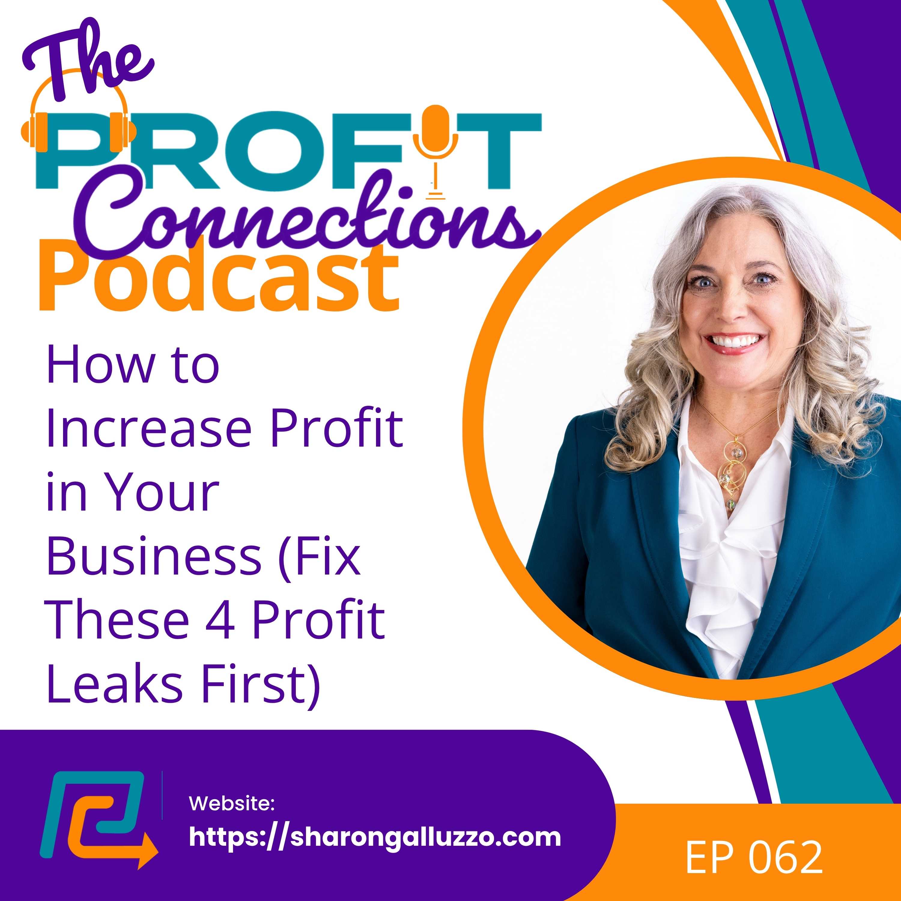 How to Increase Profit in Your Business (Fix These 4 Profit Leaks First) | 062