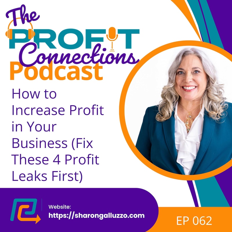 Artwork for podcast The Profit Connections Podcast