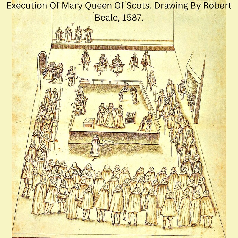 Artwork for podcast The Rise of the Protestants