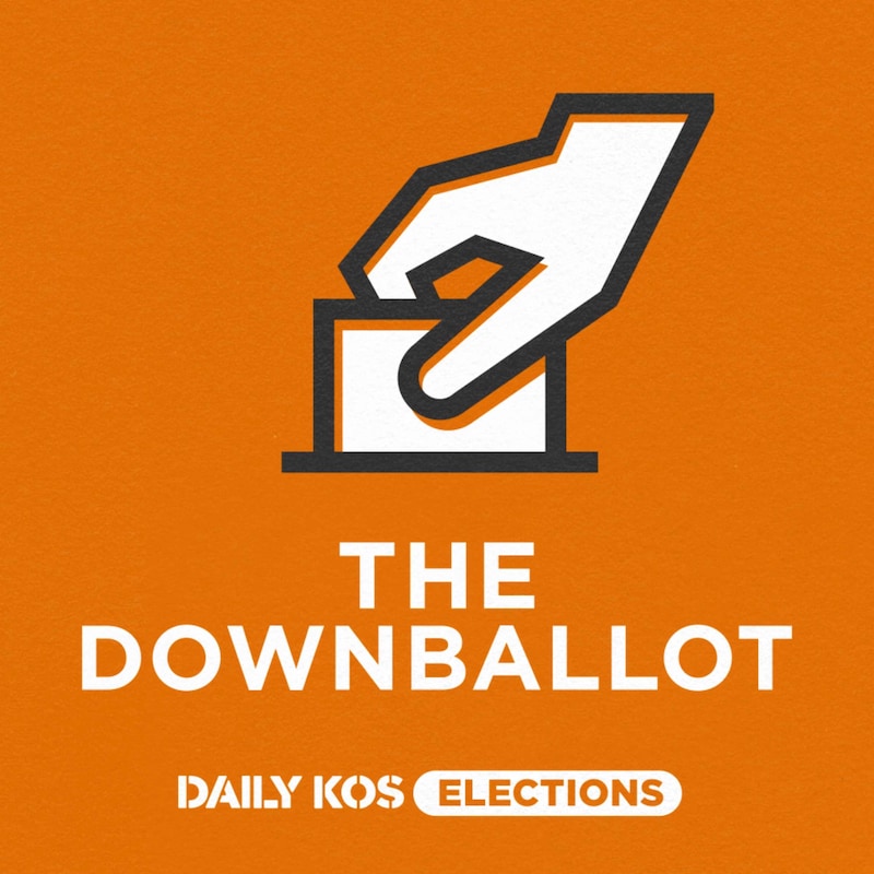 Artwork for podcast The Downballot