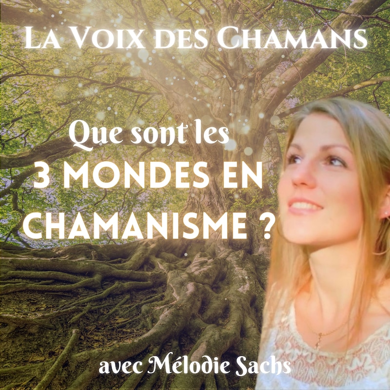 Artwork for podcast La Voix des Chamans