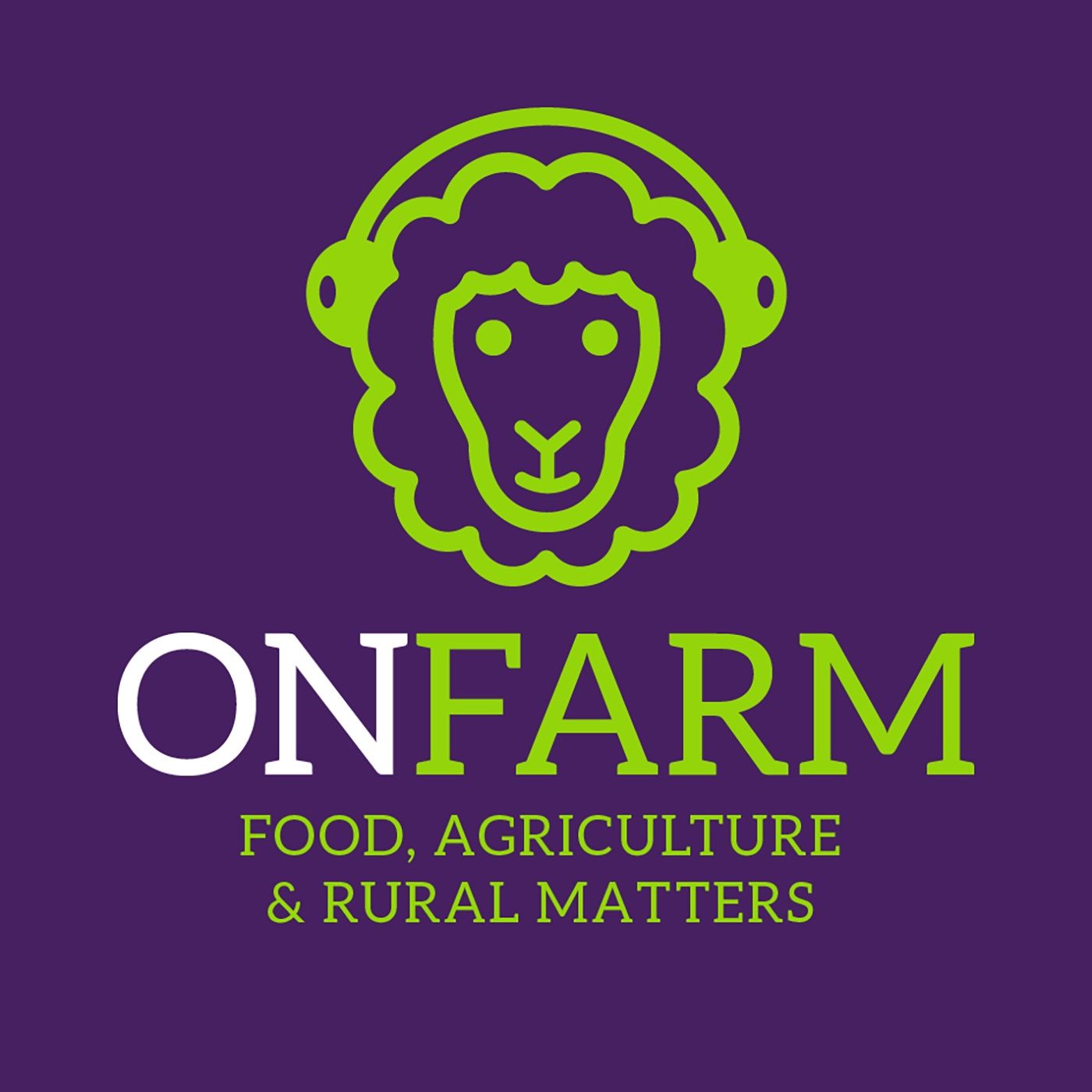 Organic veg and cereal farming in East Lothian