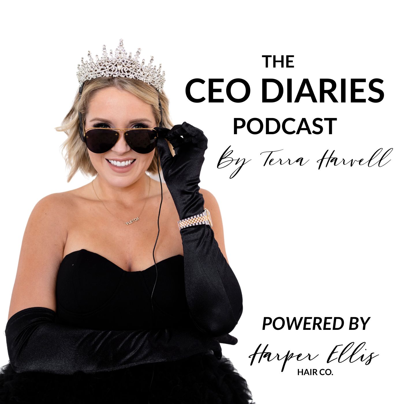 Artwork for The CEO Diaries