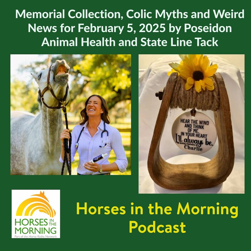 Artwork for podcast Horses in the Morning