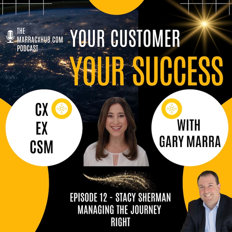 Artwork for podcast Your Customer, Your Success