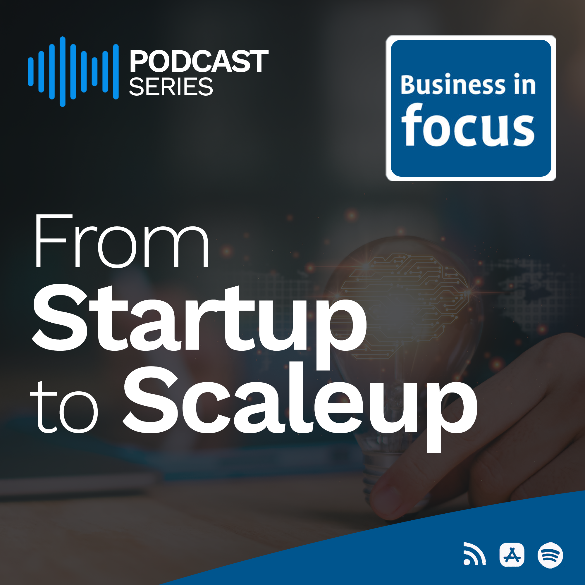 Artwork for Business in Focus