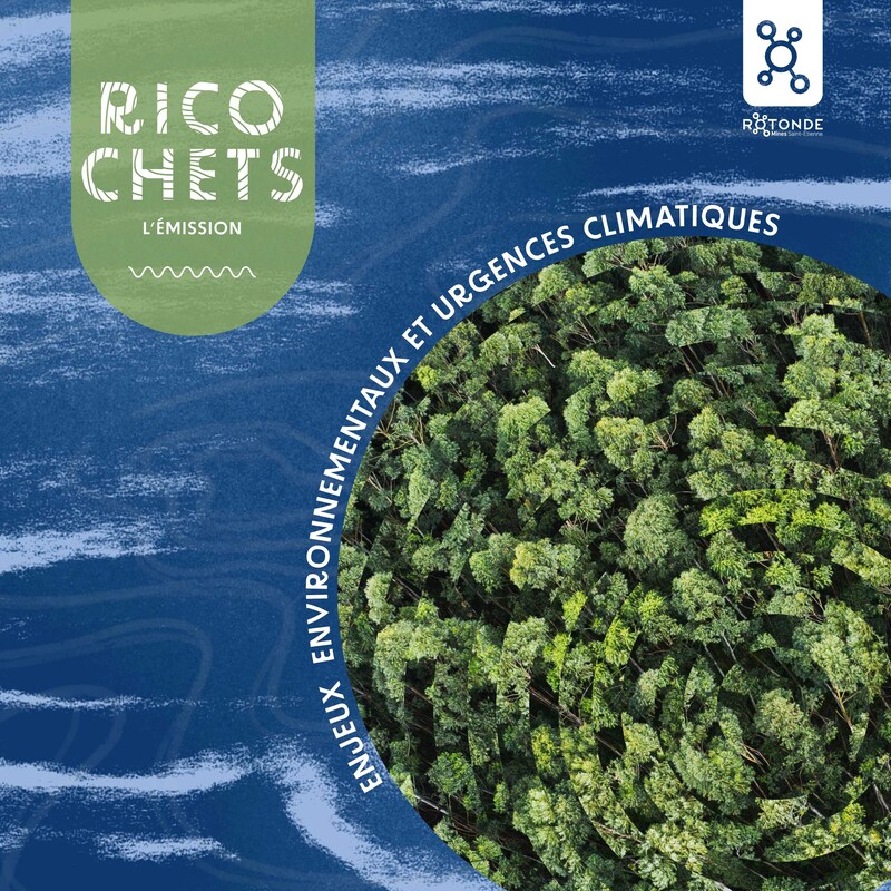 Artwork for podcast RICOCHETS - Les sciences rebondissent