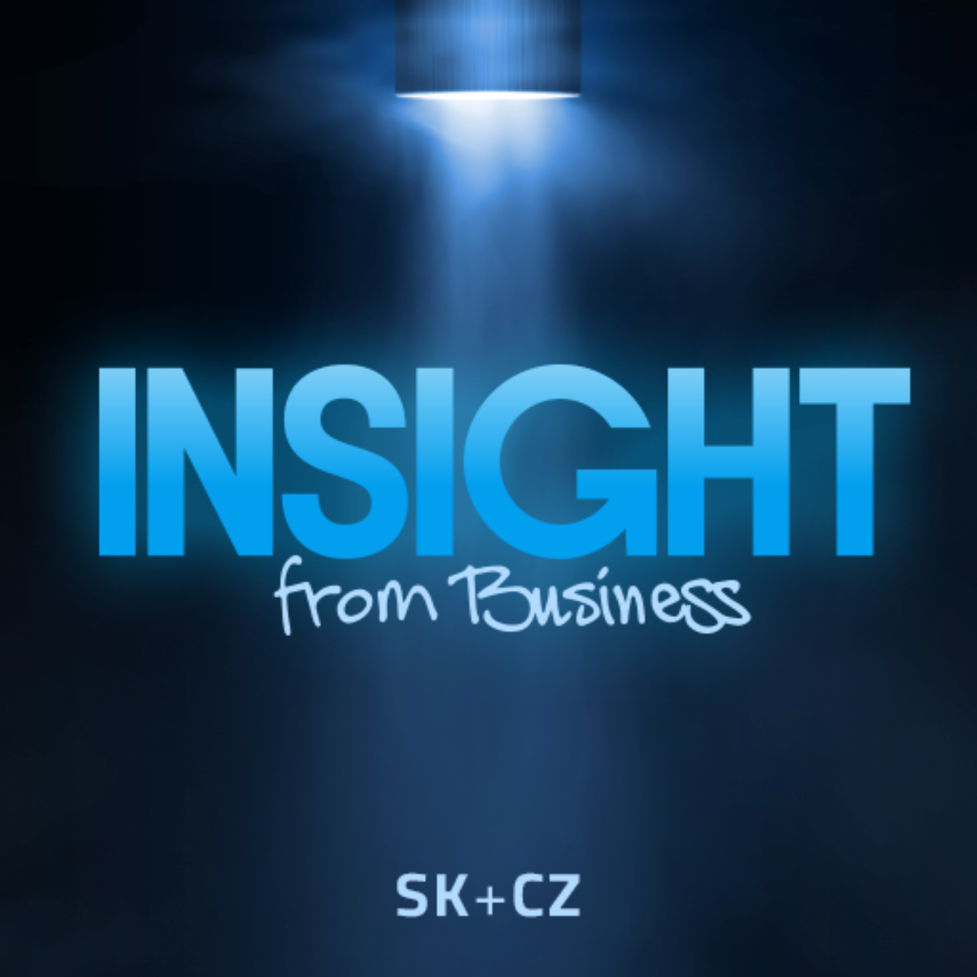 Show artwork for INSIGHT FROM BUSINESS (IBA SK+CZ)