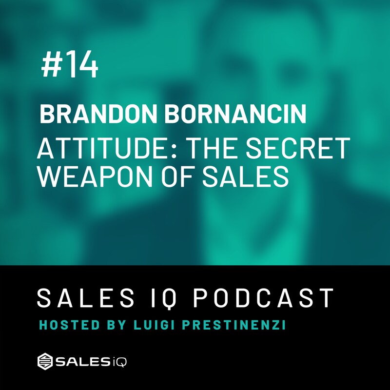 Artwork for podcast Sales IQ