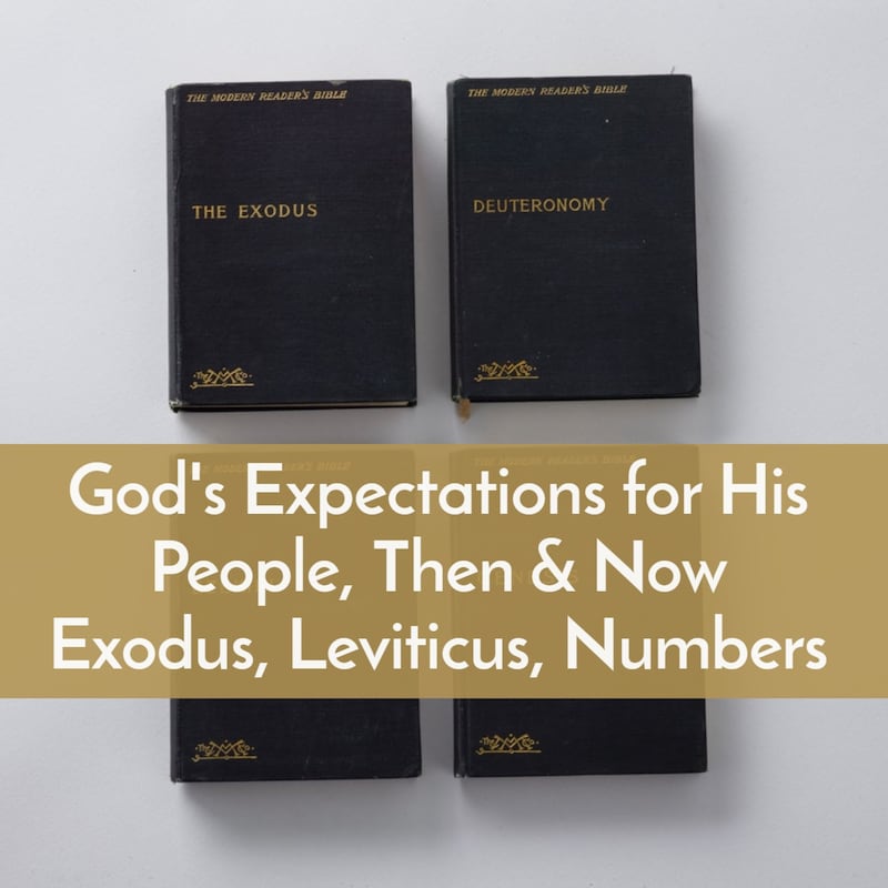Artwork for podcast Bible805, Lessons and commentary to help you know, trust, apply, and teach the Bible