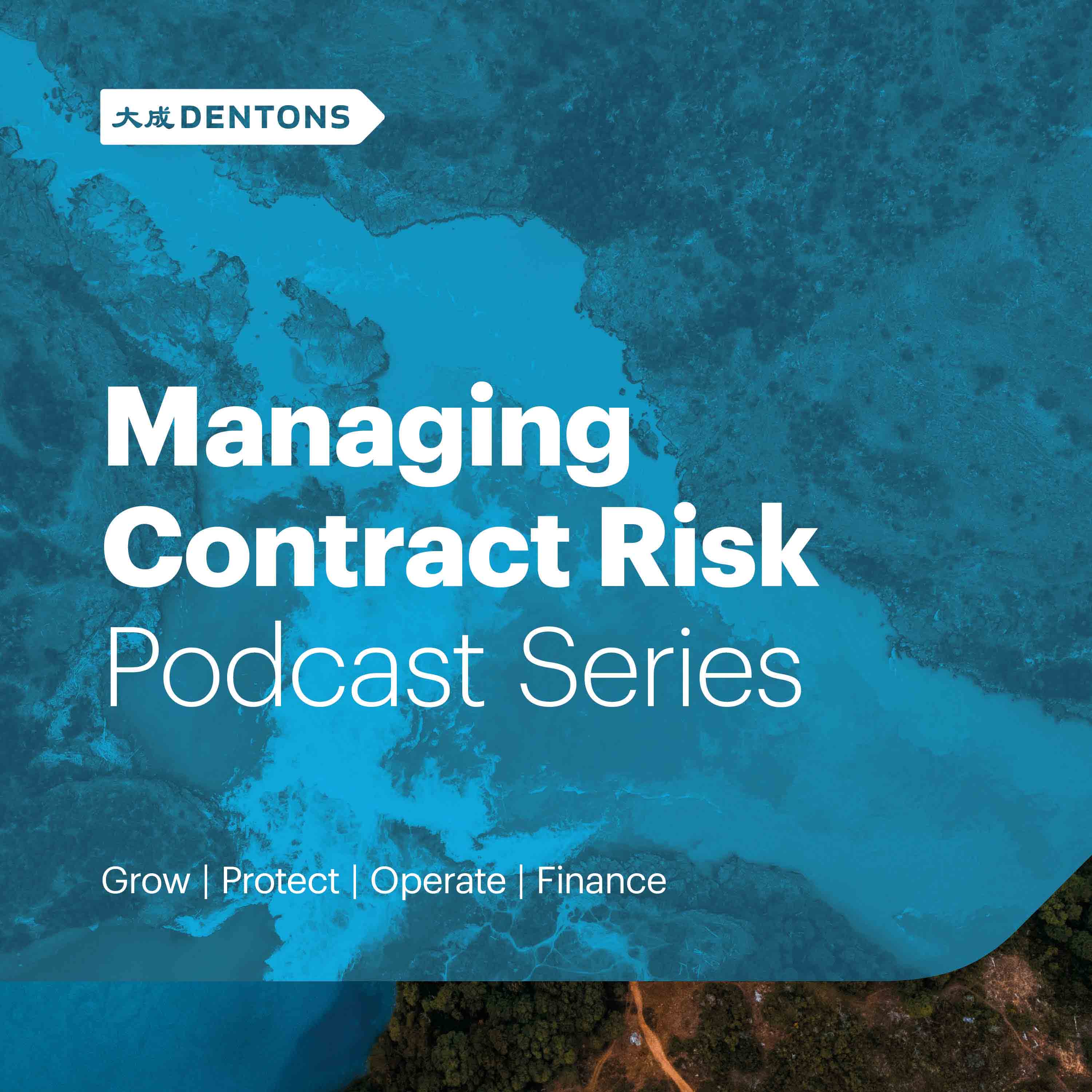 Show artwork for Managing Contract Risk