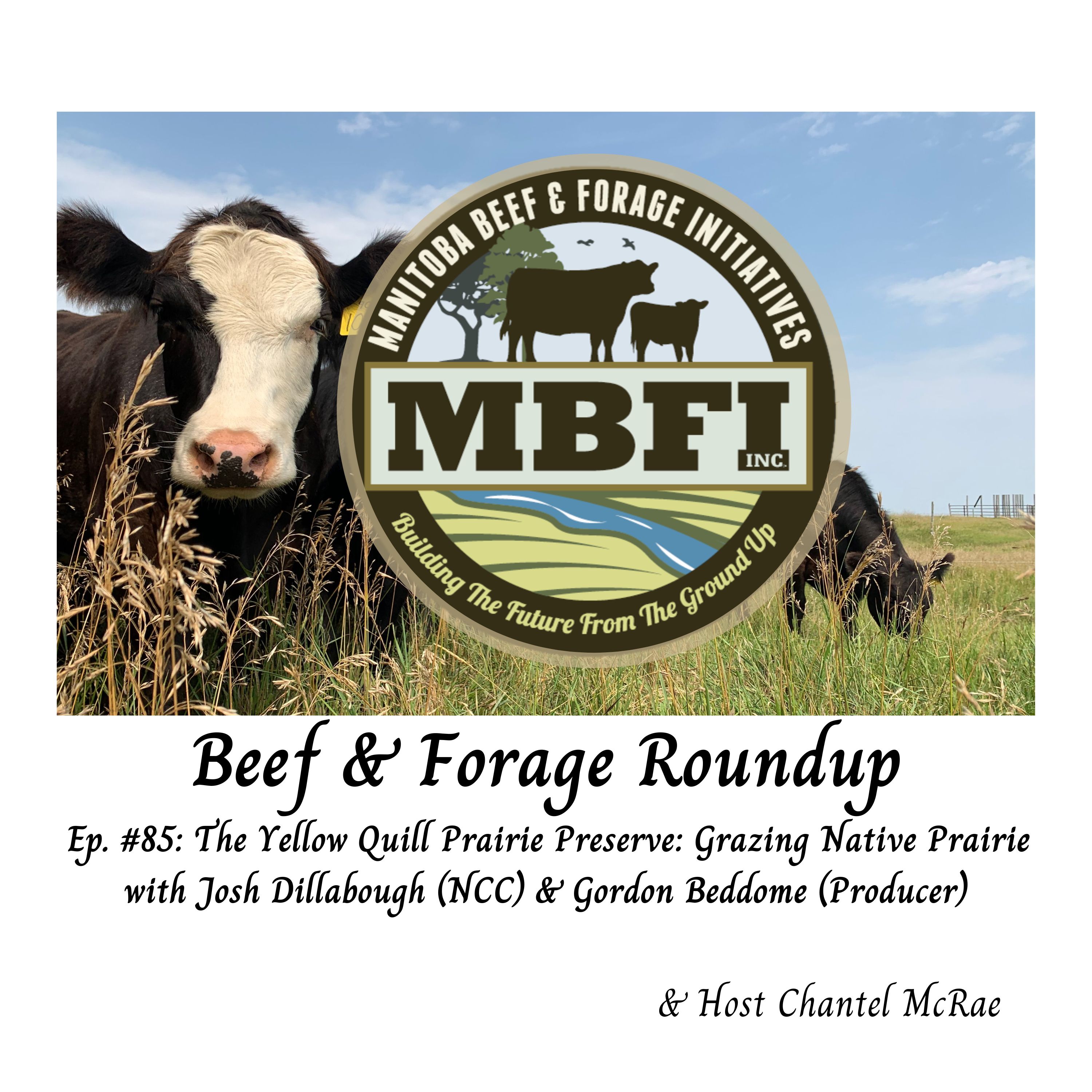 Beef and Forage Roundup
