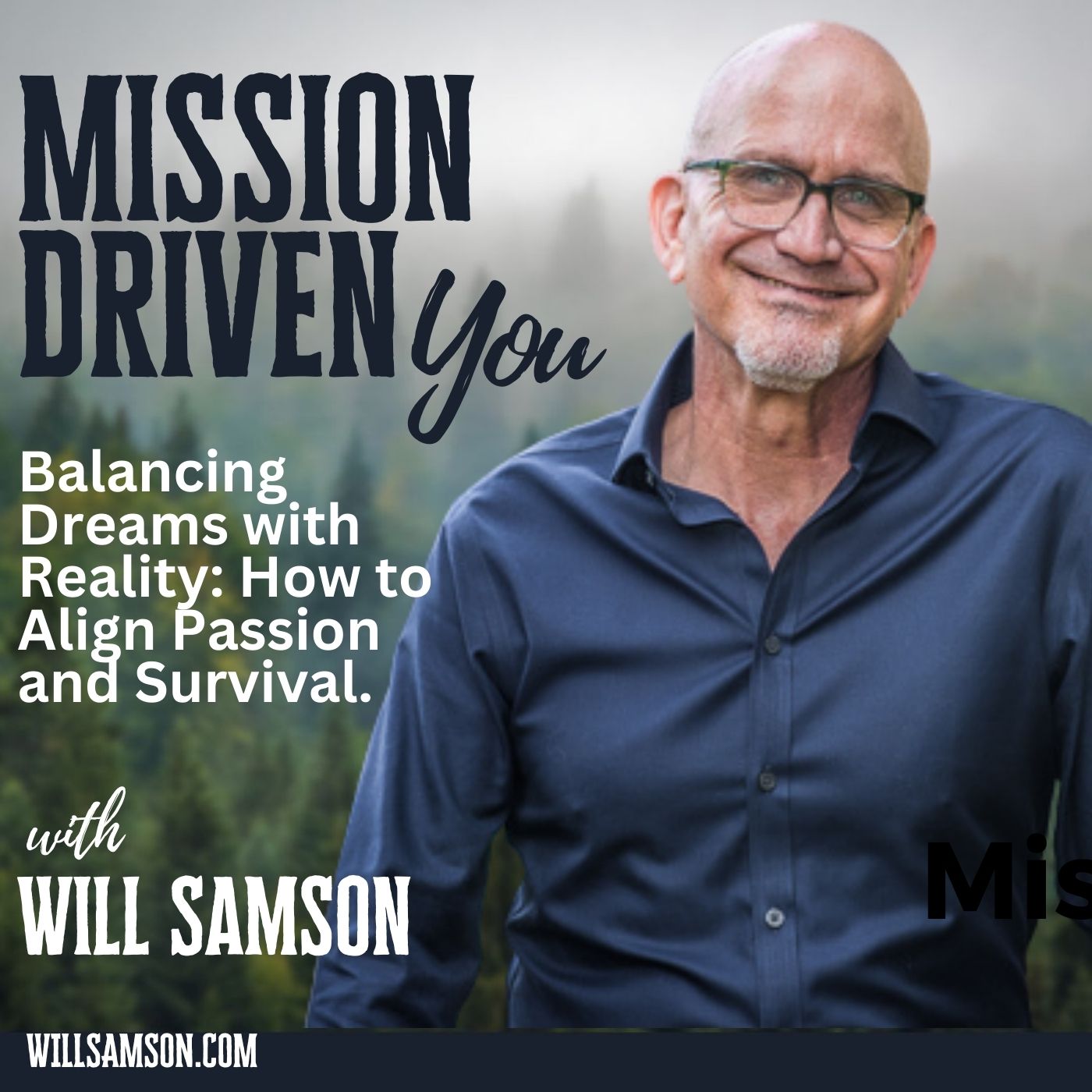 Artwork for podcast Mission Driven You! .. Personal development, mindset, leadership, team development & change management