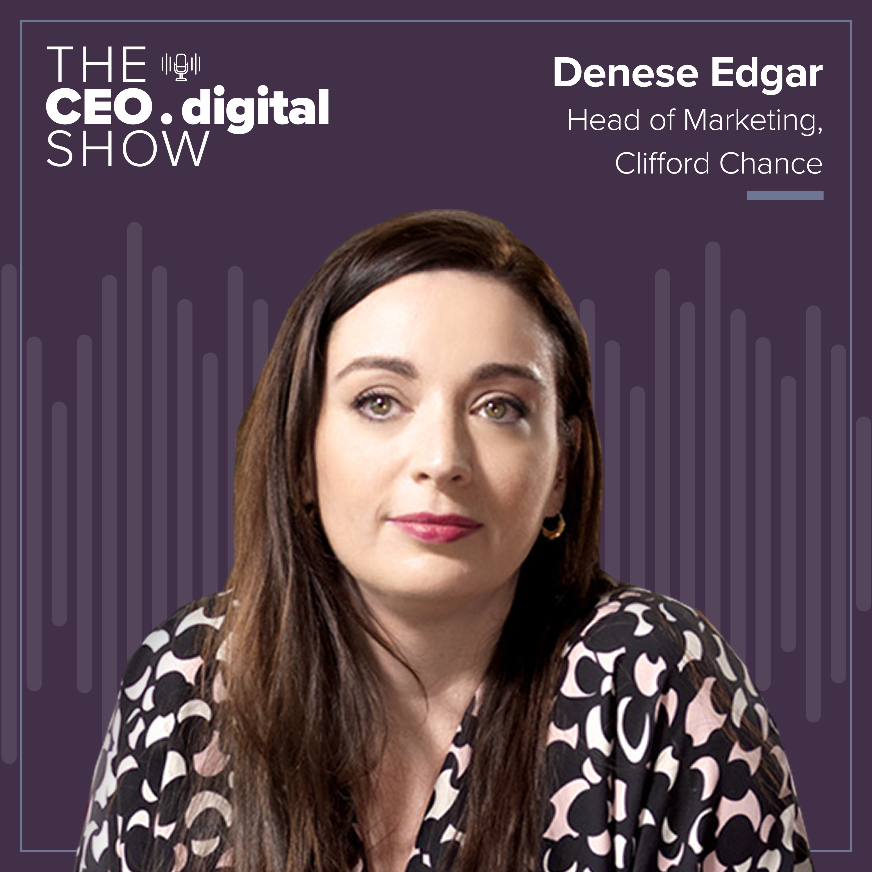 Artwork for podcast The CEO Digital Show