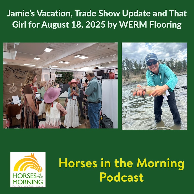 Artwork for podcast Horses in the Morning