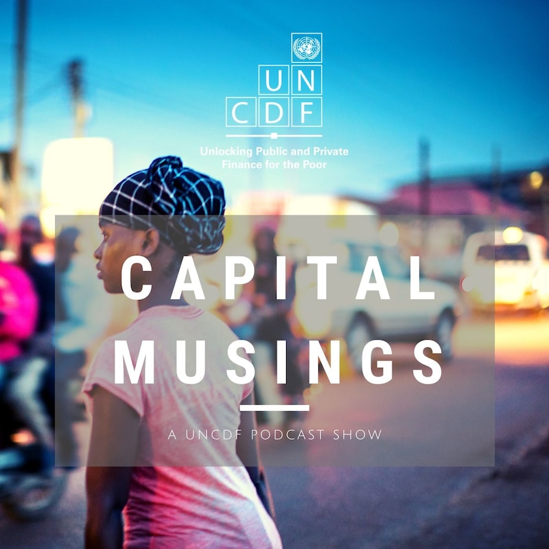 Artwork for podcast Capital Musings