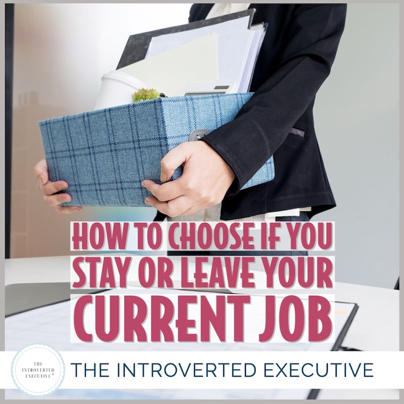 Artwork for podcast The Introverted Executive