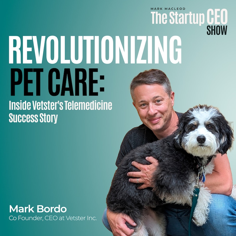 Artwork for podcast The Startup CEO Show
