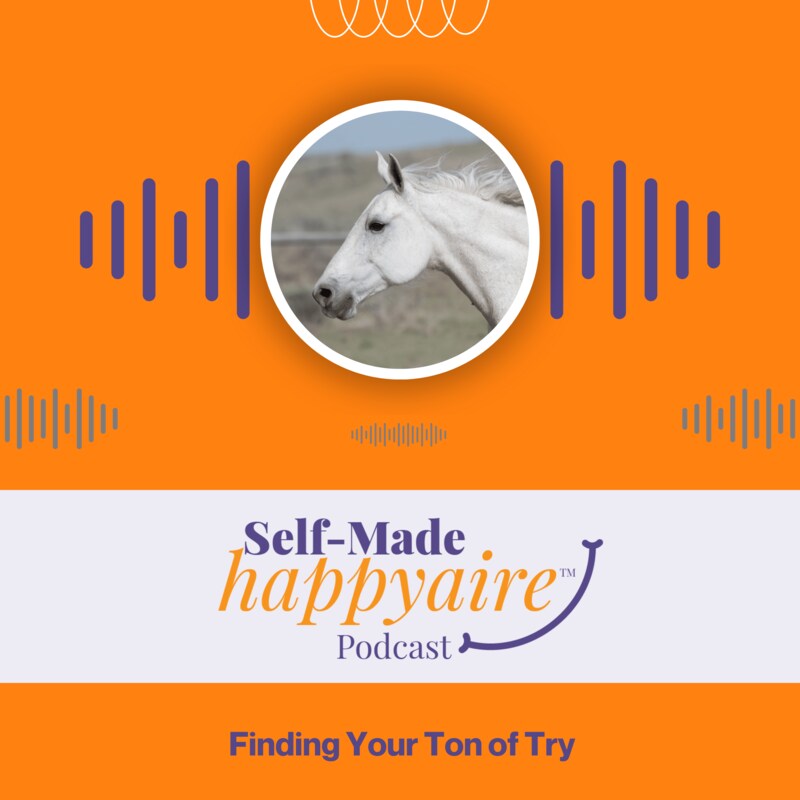 Artwork for podcast Self Made Happyaire
