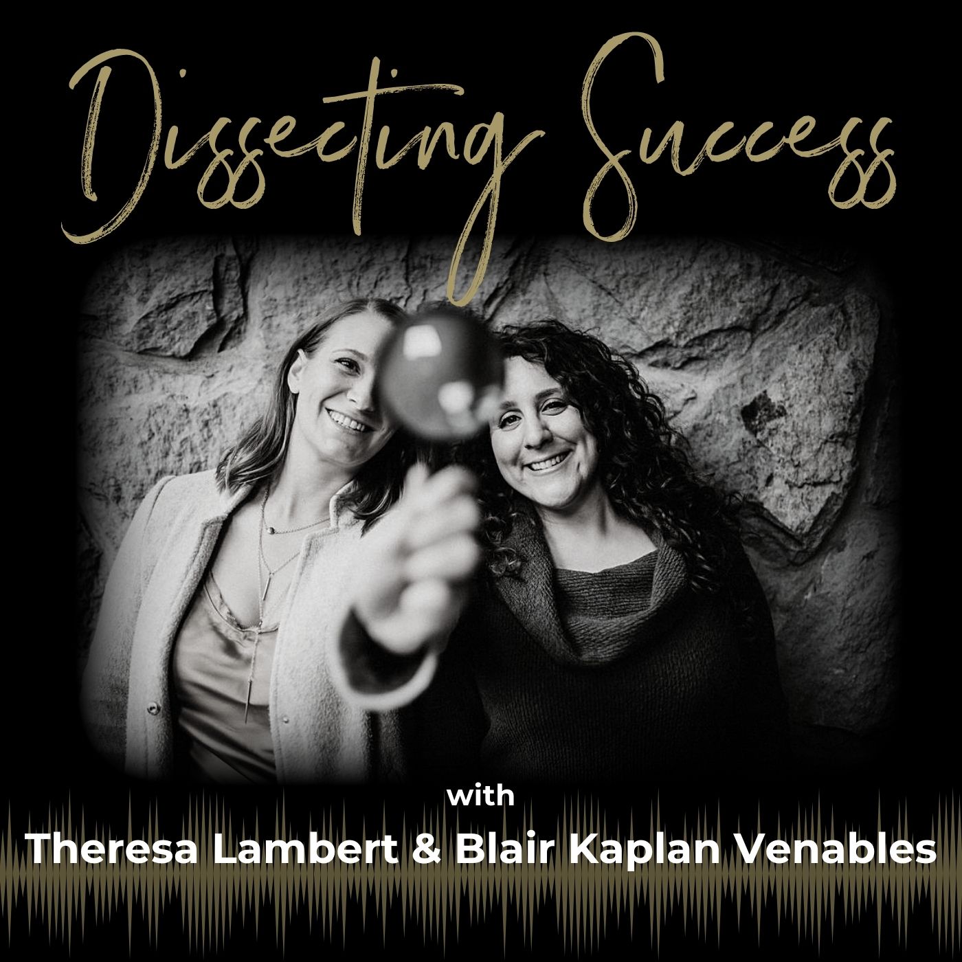 Show artwork for Dissecting Success