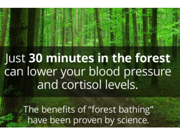 Sound Health Options - Richard ~ TalkToMeGuy & Sharry Edwards