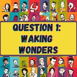Artwork for Question 1: Waking Wonders