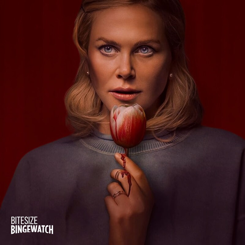 Artwork for podcast Bitesize Bingewatch
