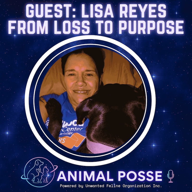 Artwork for podcast Animal Posse
