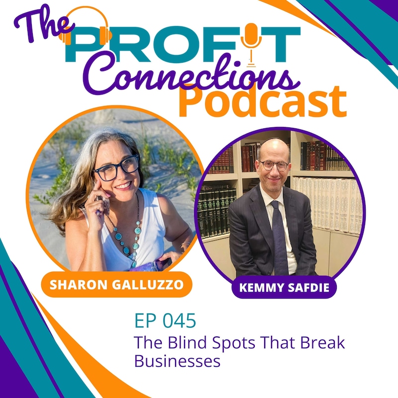 Artwork for podcast The Profit Connections Podcast