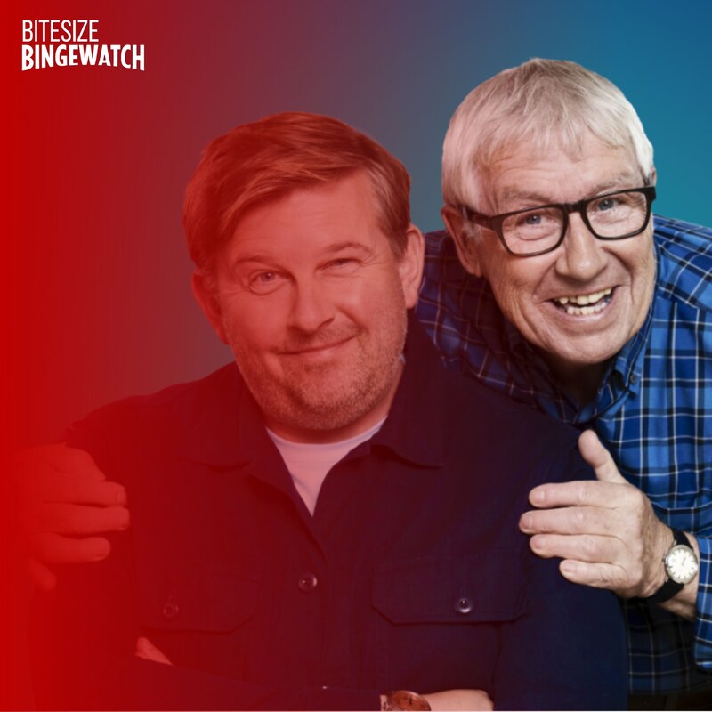 Artwork for podcast Bitesize Bingewatch