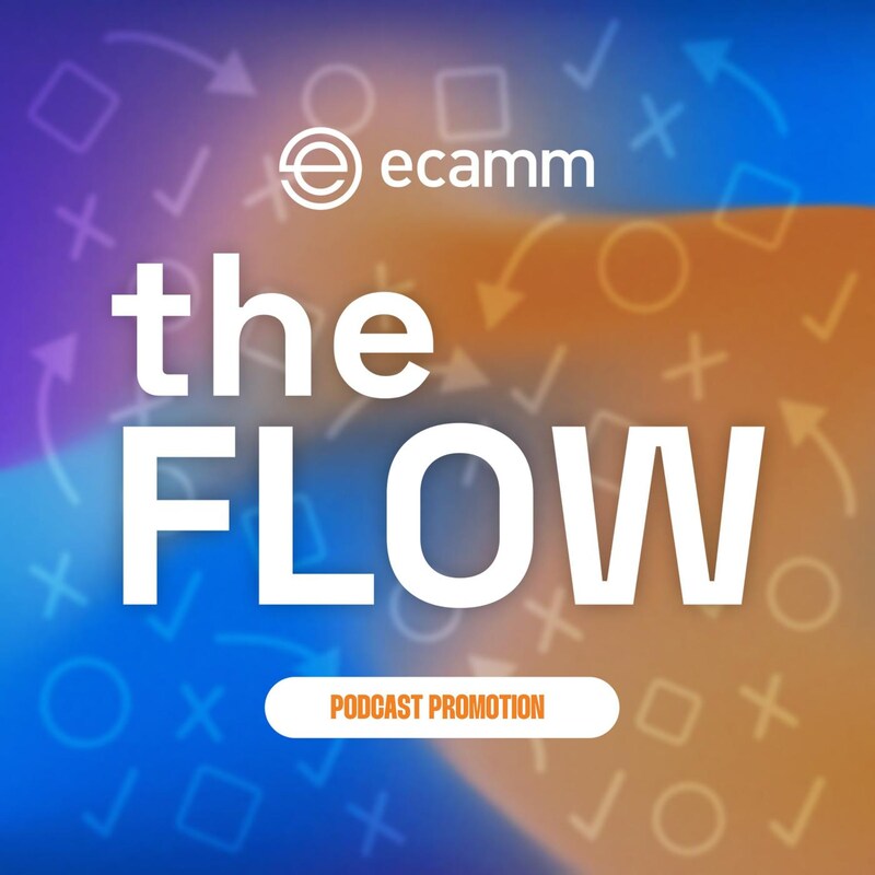 Artwork for podcast The Flow