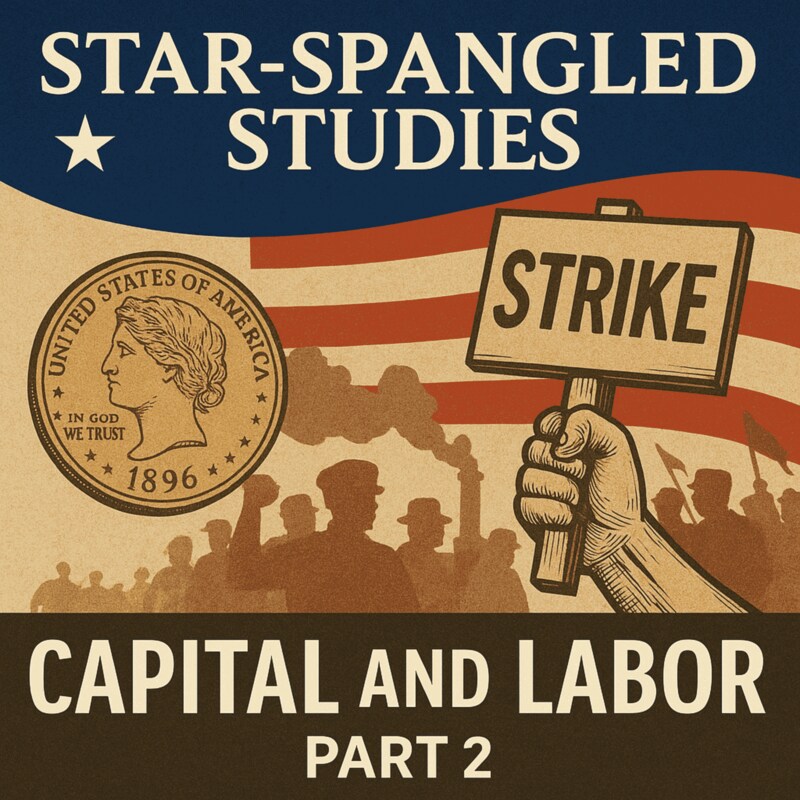 Artwork for podcast Star-Spangled Studies