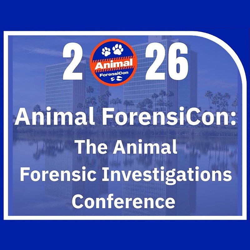 Artwork for podcast The Animal Welfare Junction