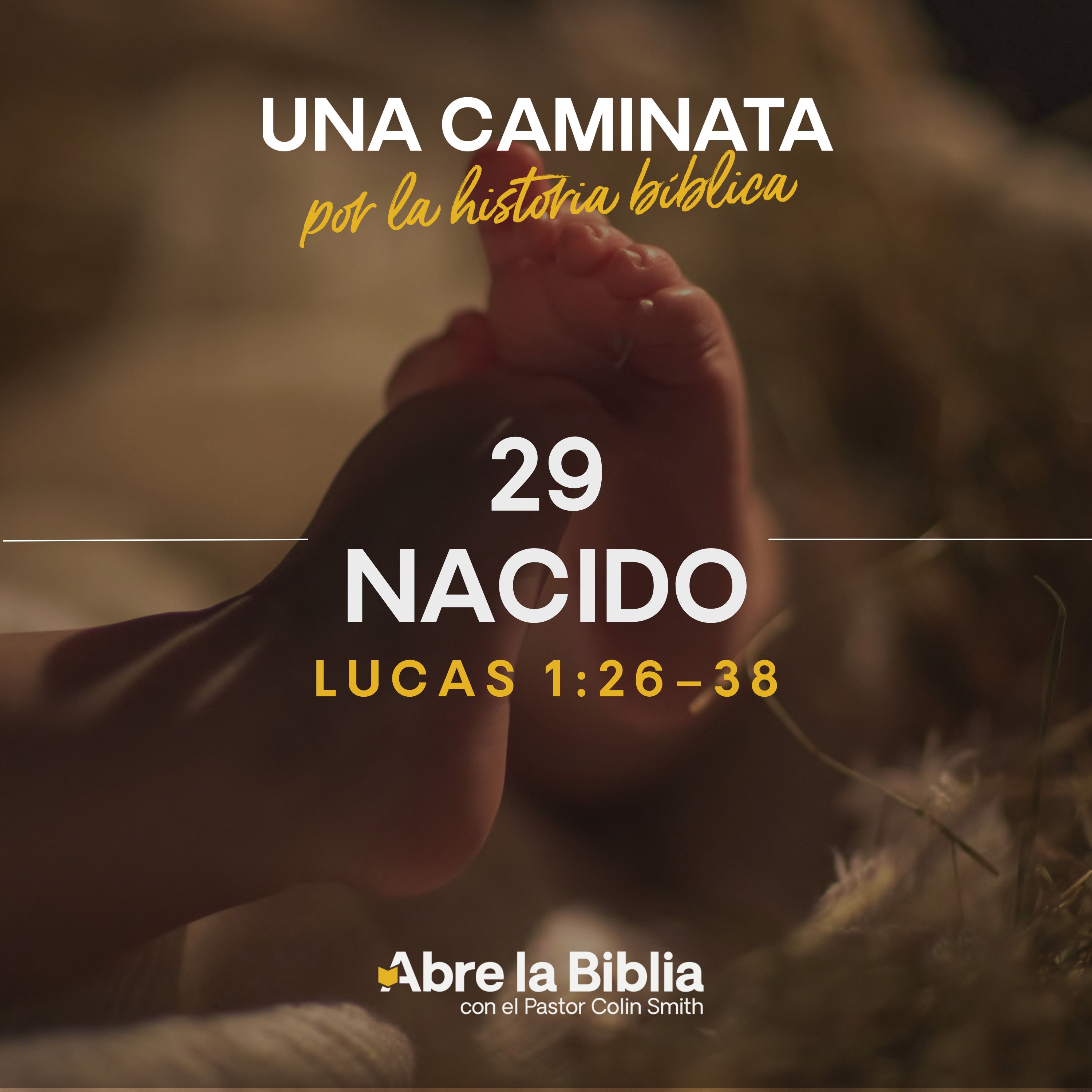 29: Nacido (Lucas 1:26–38) episode artwork