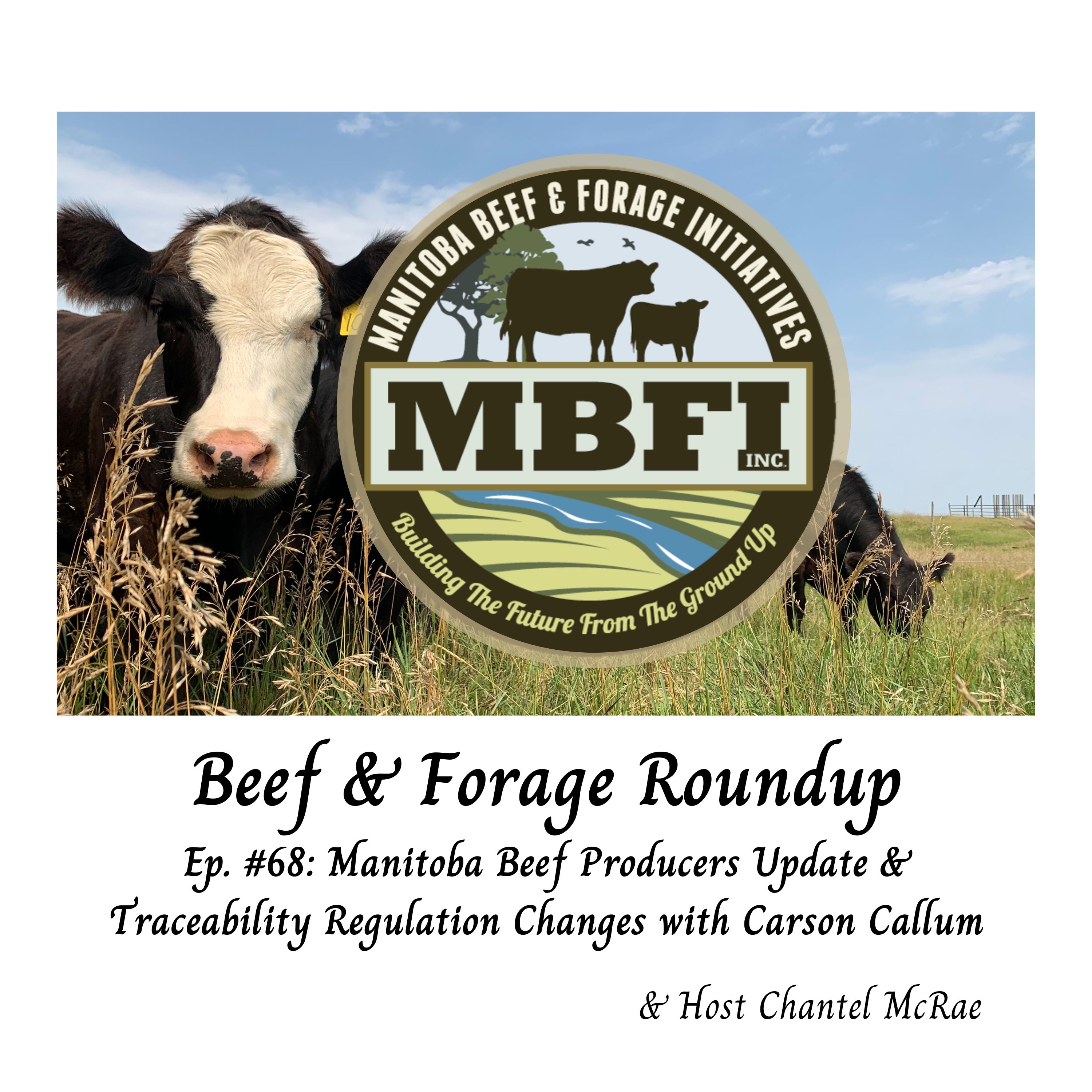 Beef and Forage Roundup