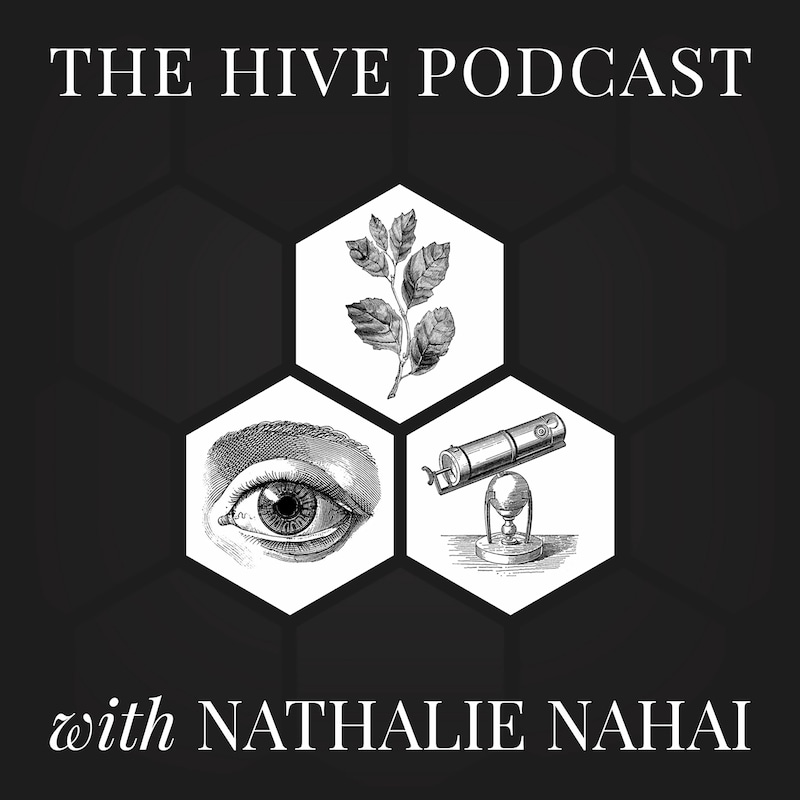 Artwork for podcast In Conversation with Nathalie Nahai