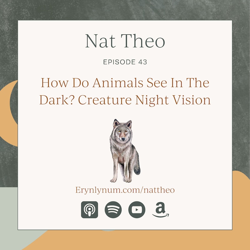Artwork for podcast Nat Theo Nature Lessons Rooted in the Bible