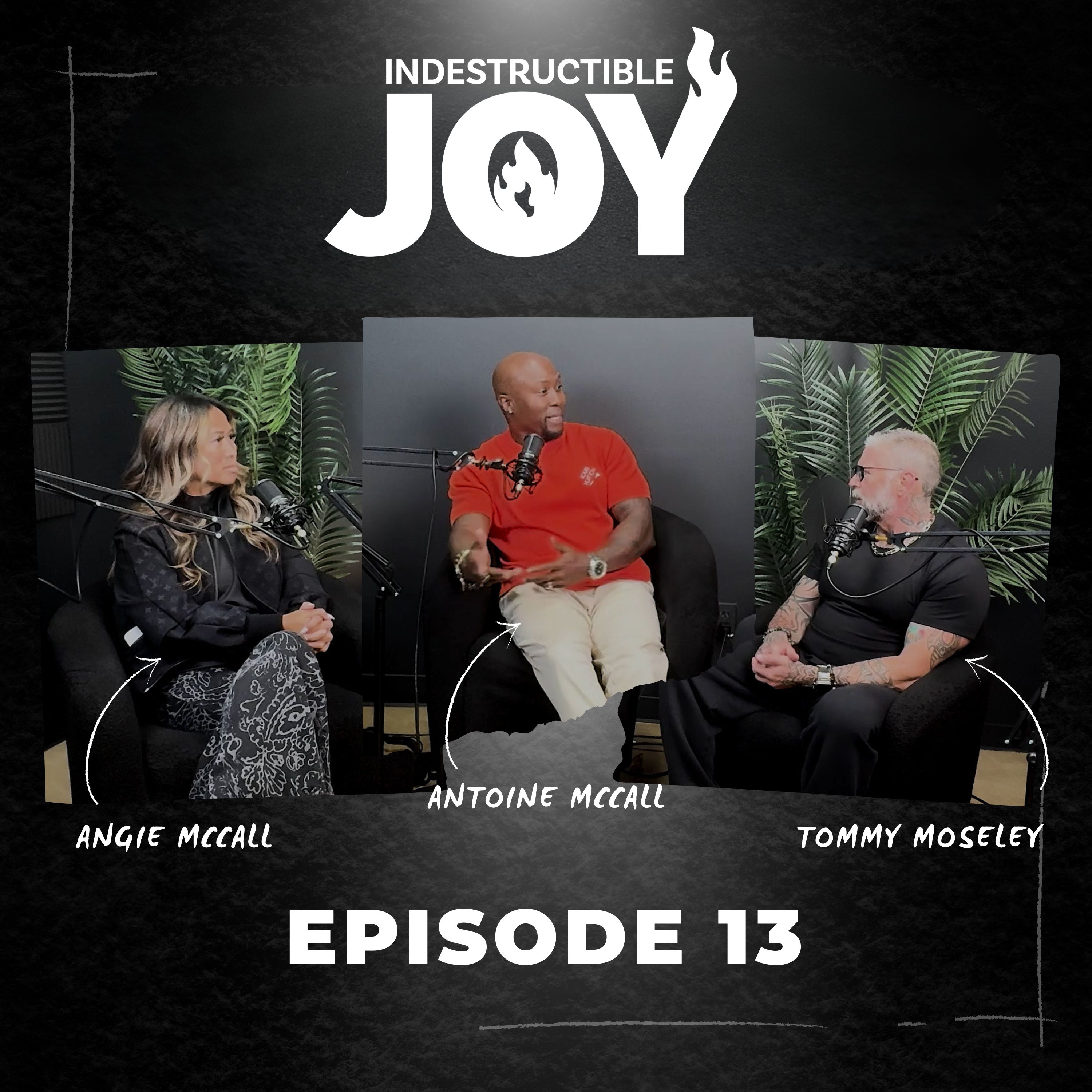 Indestructible Joy