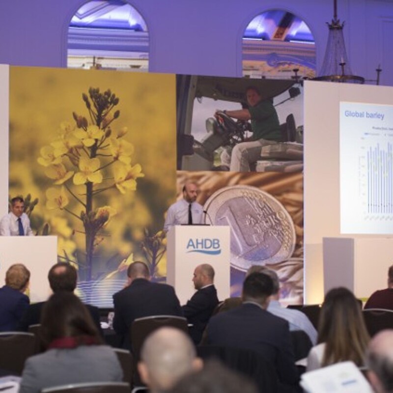 Artwork for podcast AHDB Food & Farming