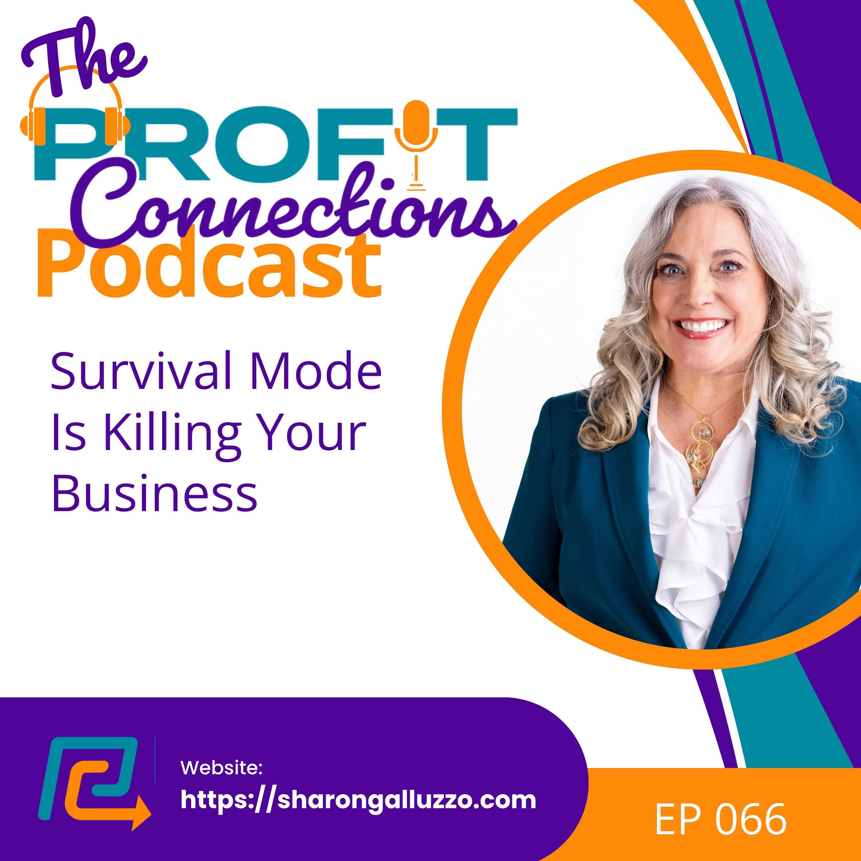 Survival Mode Is Killing Your Business | 066 episode artwork