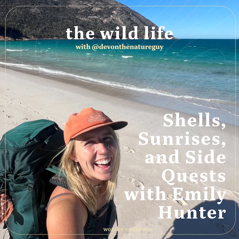 Artwork for podcast The Wild Life