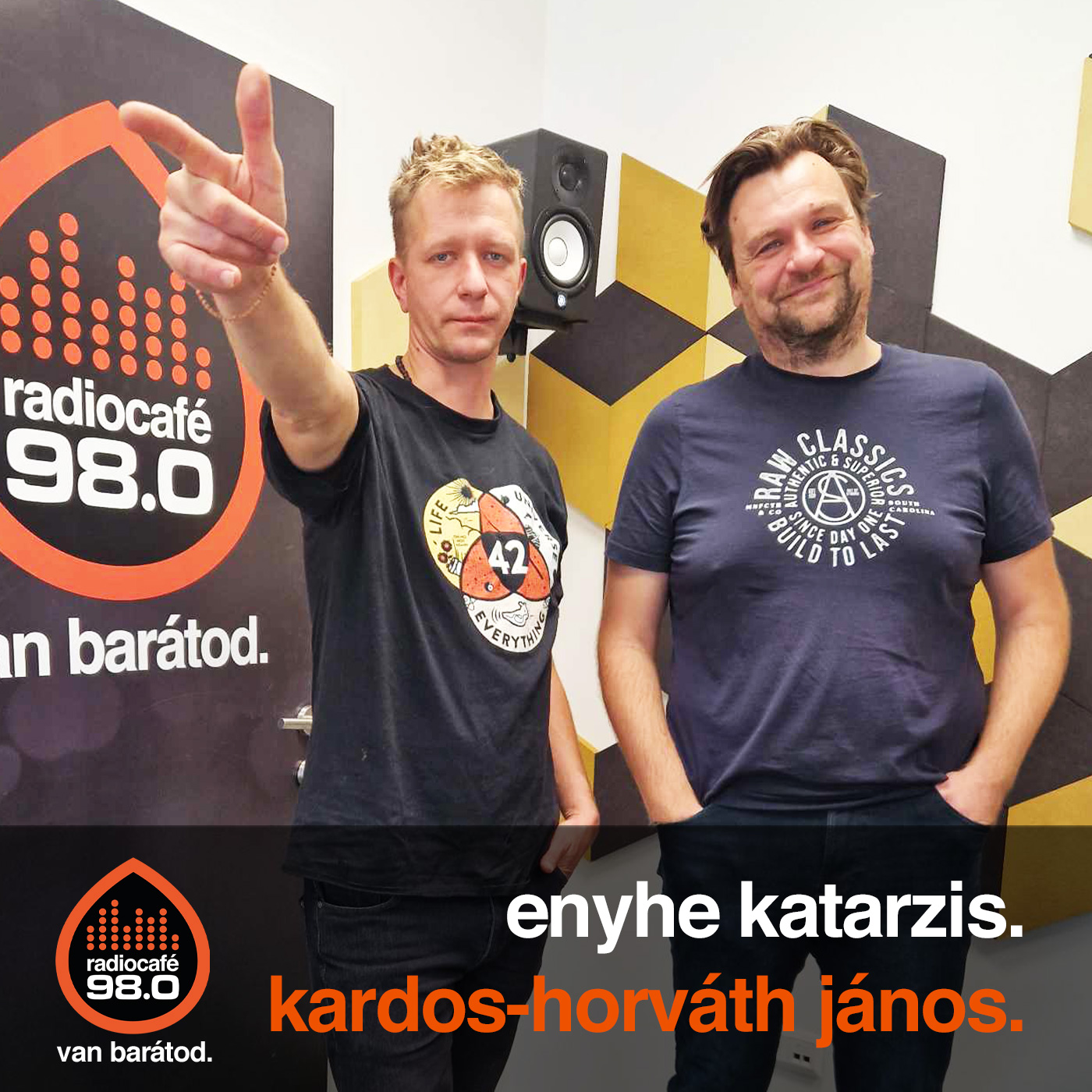 enyhe katarzis